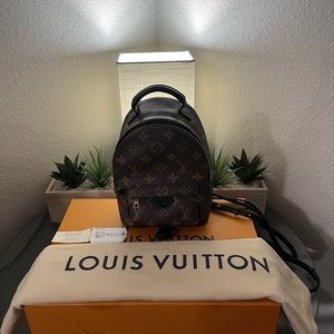 Louis vuitton palm spring mini backpack